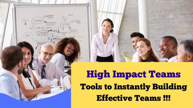 High Impact Teams